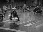Victoire dans le concours de photos CGAP 2013 pour une photo vietnamienne
